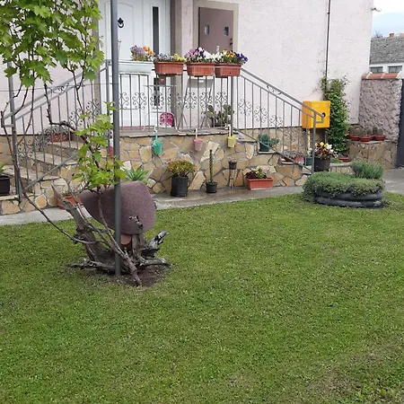 Apartment Grape Vine Surcin