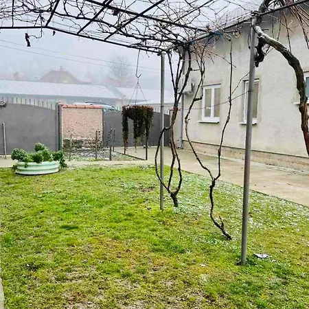 Apartamento Grape Vine Surčin