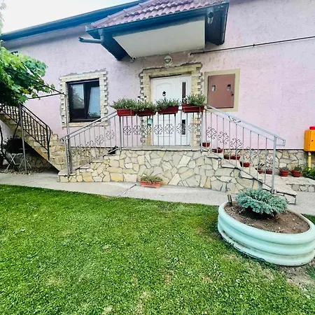 Grape Vine Apartment Surcin