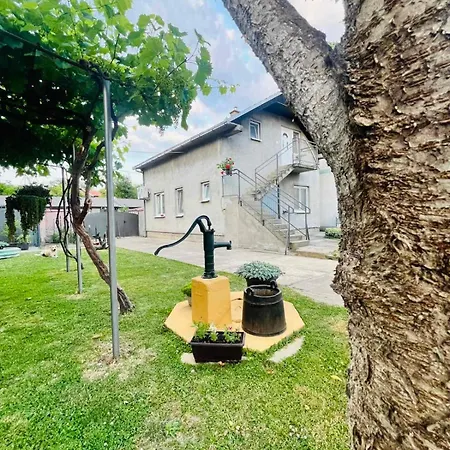 Grape Vine * Surčin