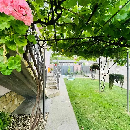 Апартаменты Grape Vine Surcin