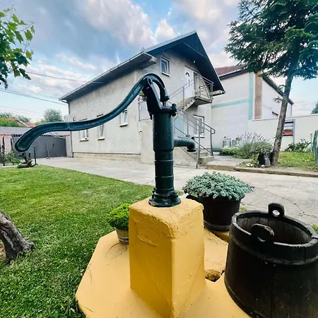 Apartment Grape Vine