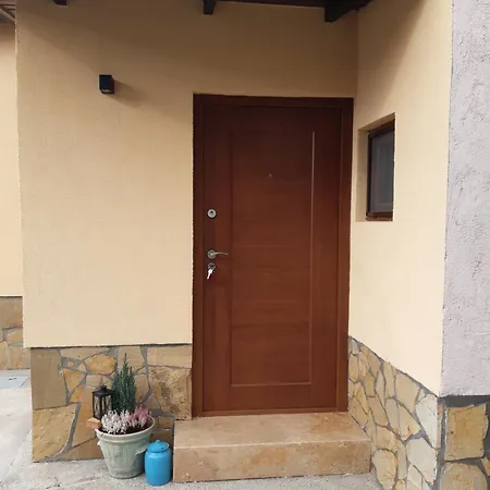 Grape Vine * Surčin