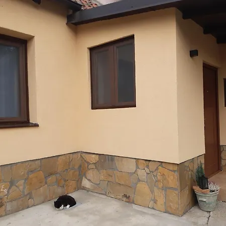 Apartment Grape Vine Surčin