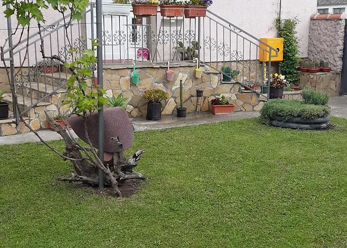 아파트 Grape Vine Surčin