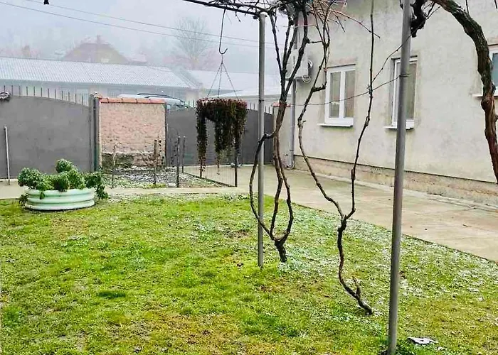 아파트 Grape Vine Surčin