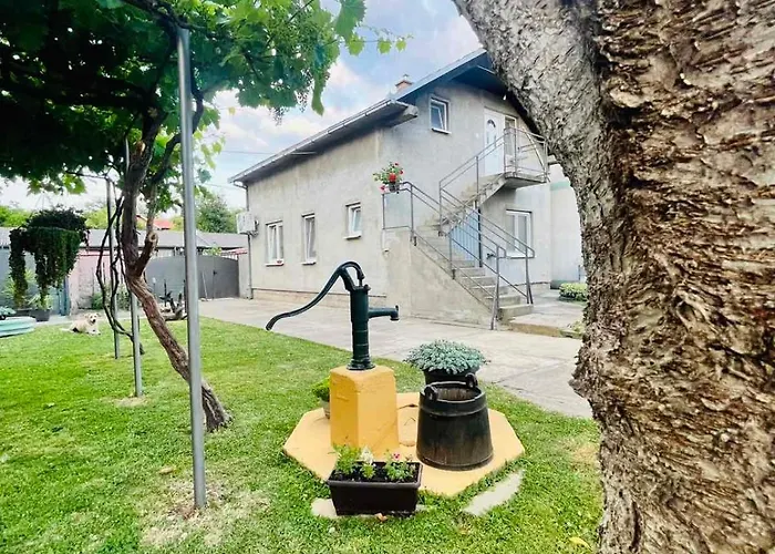 Grape Vine * Surčin