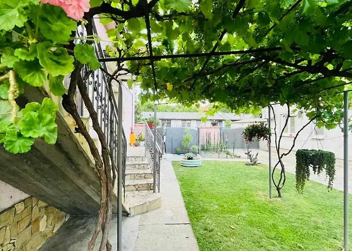 아파트 Grape Vine Surčin