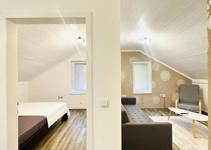 Grape Vine * Surčin