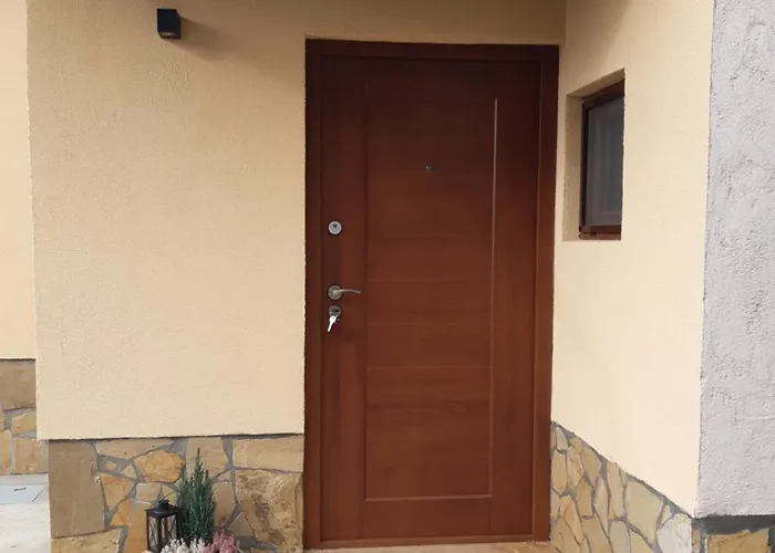 Grape Vine * Surčin