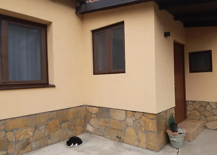 아파트 Grape Vine Surčin